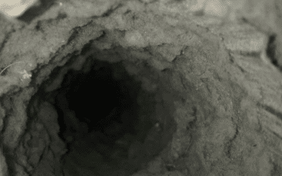 The Ultimate Guide to Dryer Vent Maintenance: Tips for Safe and Efficient Use