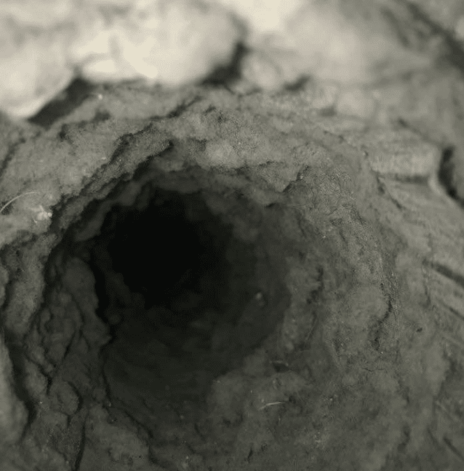 The Ultimate Guide to Dryer Vent Maintenance: Tips for Safe and Efficient Use