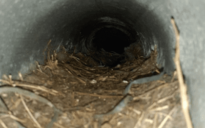 Expert Tips for Extending the Life of Your Dryer Through Proper Vent Cleaning